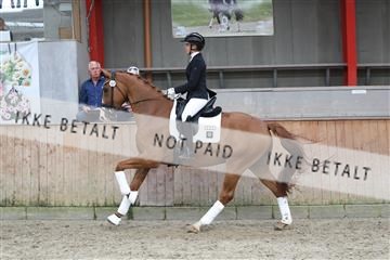 181867_mtp_01_R62_4189.JPG
