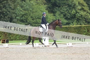 181957_mtp_01_3M5A7583.JPG