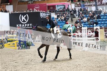 175934_avh_01_6250.JPG