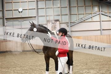 178265_bc_01_R62_0146.JPG