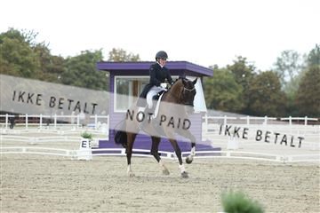 181923_mtp_04_R62_8336.JPG