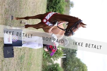 181867_mtp_02_R62_4967.JPG