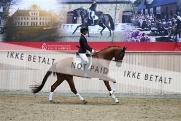 181887_mtp_05_R62_9715.JPG