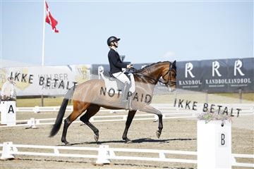 181449_kbb_01_6II9566.JPG