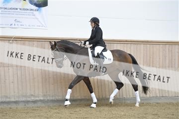 160111_nn_01__ESK1586.JPG