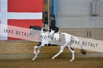 144288_abo_01__AB21976.JPG