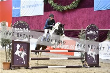 161006_abo_01__D051233.JPG