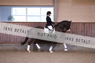 173821_mtp_01_3M5A8368.JPG