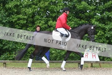 135518_ms_01_IMG_1359.JPG
