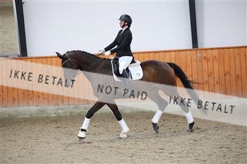 175681_avh_01_R62_0570.JPG