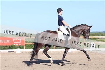 181449_bc_01R62_6249.JPG