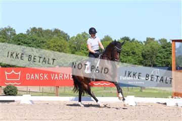181449_bc_01R62_6002.JPG