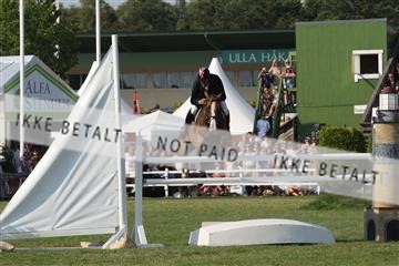 125257_abo_13_IMG_1685.JPG