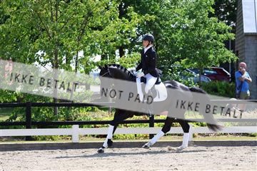 174806_jss_01_R6II0236.JPG