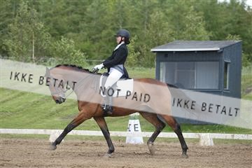 147698_nn_01_IMG_0268.JPG