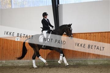 175681_avh_01_R62_0838.JPG