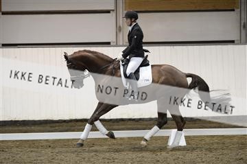 141472_abo_01__AB15603.JPG