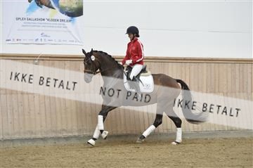 160111_nn_01__ESK1719.JPG