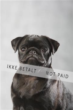 129608_le_ 01_0157.JPG