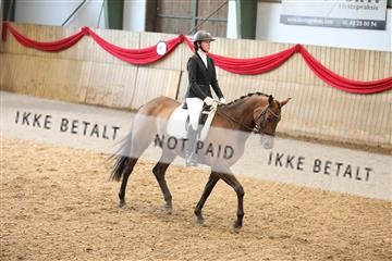 171342_mtp_01_3M5A7450.JPG