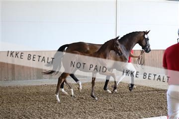 181756_mtp_03_R62_2133.JPG