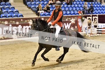 161006_abo_01__D052087.JPG