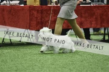 163793_bkn_01__BKN9062.JPG