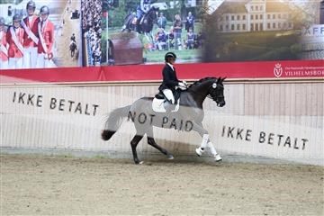 181887_mtp_04_R62_8985.JPG