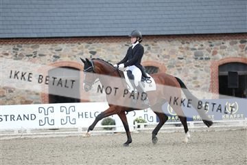 181957_mtp_06_3M5A0791.JPG
