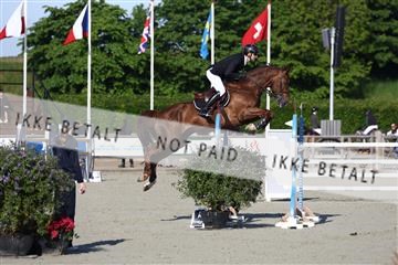 181436_avh_01_3050.JPG