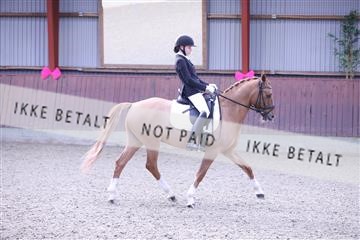 173883_mtp_01_3M5A0490.JPG