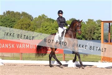 181449_bc_01R62_6328.JPG