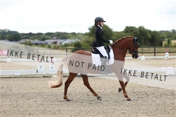 181894_mtp_02_R62_1187.JPG