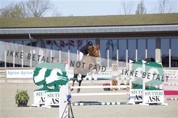 181332_kbb_01_6II3520.JPG