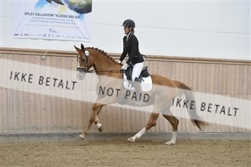 160111_nn_01__ESK1707.JPG