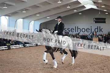 179022_kbb_01_R6II2521.JPG