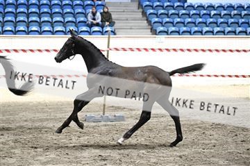 181754_kbb_01_Z092746.JPG