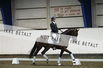 141472_abo_01__AB15533.JPG