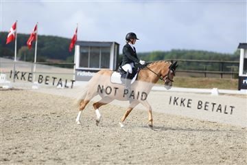 181894_mtp_04_R62_3859.JPG