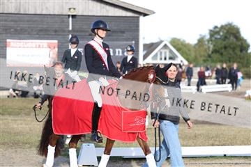 181894_mtp_05_R62_5932.JPG