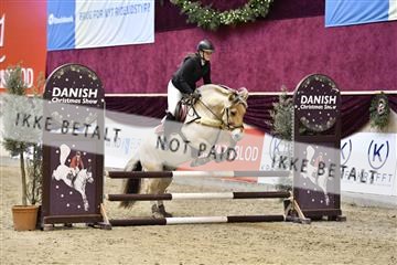 161006_abo_01__D050575.JPG