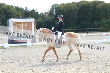 181894_mtp_02_R62_1912.JPG