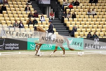 178838_mtp_04_0E6A4338.JPG
