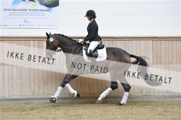 160111_nn_01__ESK1991.JPG