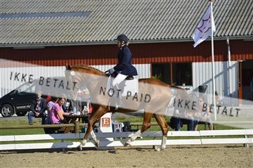 136195_abo_01__AB16562.JPG