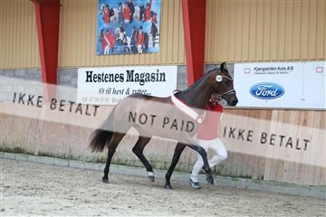 181868_mtp_01_R62_5246.JPG