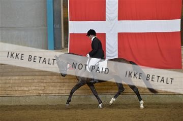 144288_abo_01__AB22275.JPG