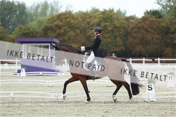 181923_mtp_03_R62_7794.JPG