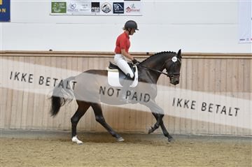 160111_nn_01__ESK1621.JPG