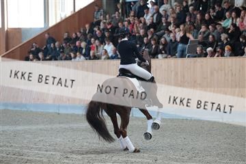 179103_kbb_01_R6II3572.JPG